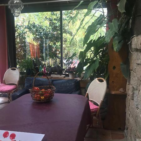 לינה וארוחת בוקר Zicavo Le Paradis מראה חיצוני תמונה