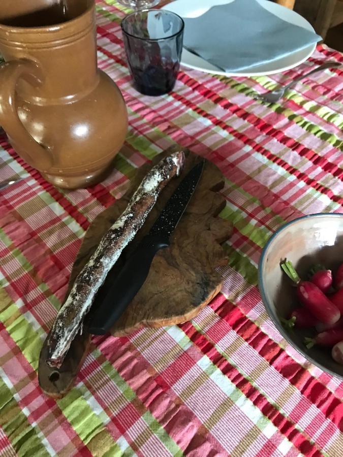 לינה וארוחת בוקר Zicavo Le Paradis מראה חיצוני תמונה