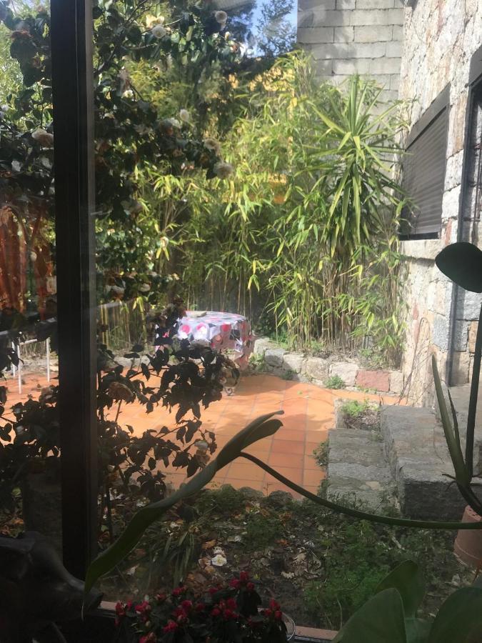 לינה וארוחת בוקר Zicavo Le Paradis מראה חיצוני תמונה